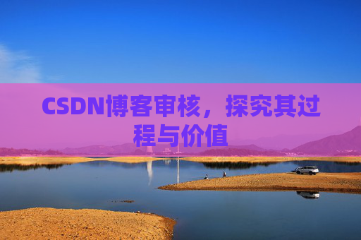 CSDN博客审核,探究其过程与价值